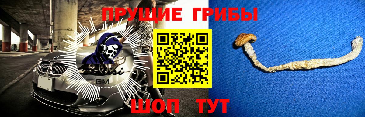 Галлюциногенные грибы Psilocybine cubensis Ейск