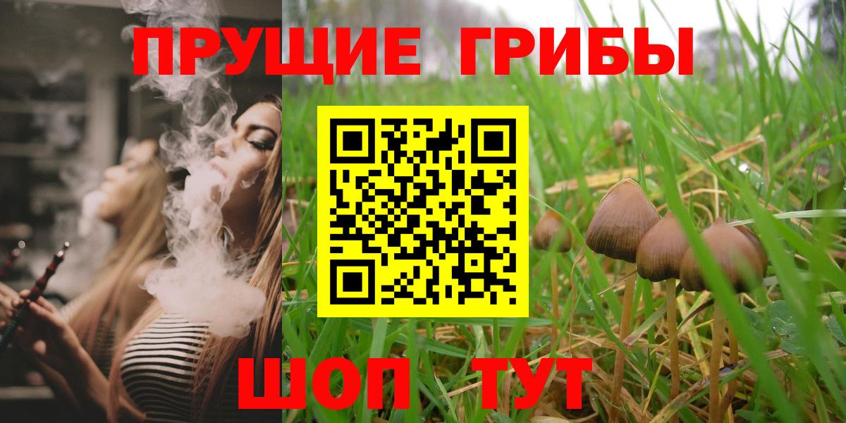Ейск  Галлюциногенные грибы Psilocybine cubensis  Вход с VPN 